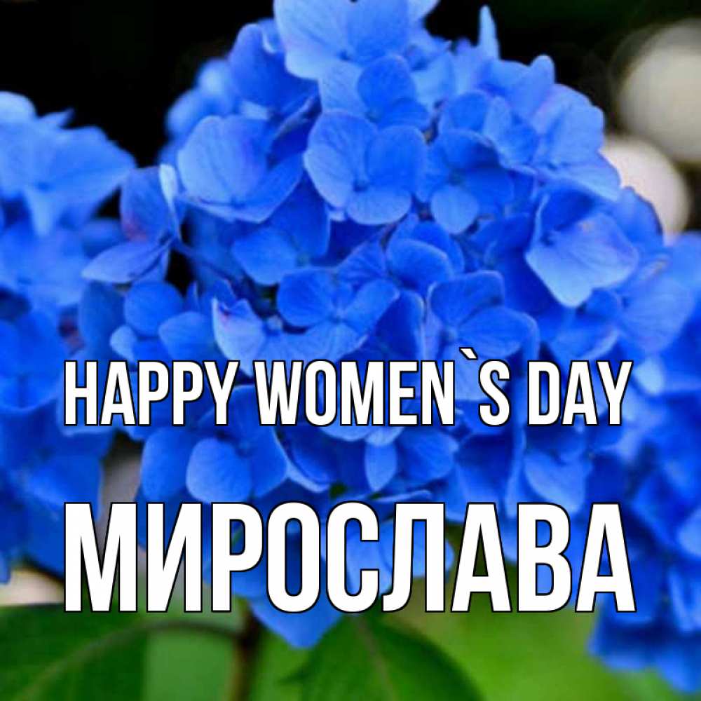 Greetings card с именем, Мирослава happy women`s day синие цветы Greetings with text for free download 